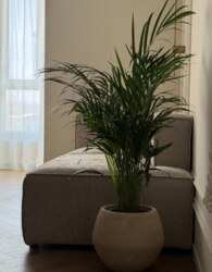 Продаж 1к квартири фото 10 Продаж 1к квартири фото 10