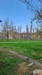 2 ���. ��������� ���. ������� 1,22 ���� 11