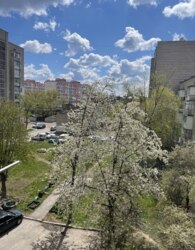 Продаж 3к квартири фото 3 Продаж 3к квартири фото 3