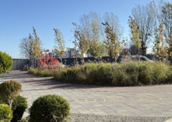 ³, , . , ,  1-      -.  14