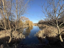 ��������� �������� ³�������, ³�����, �����������, ����� ����, �. ����������� ( ��������� ), 8-� ���� 5