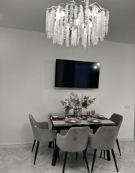 ������ 3� �������� ���� 37