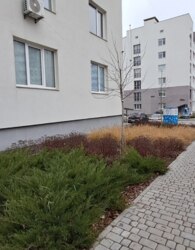 ������ 1� �������� ���� 25