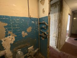 ������ ���������� �������� ���� 19