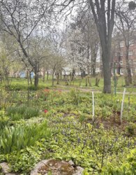 Продаж 3к квартири 56 кв. м на олега антонова фото 11 Продаж 3к квартири 56 кв. м на олега антонова фото 11