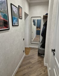 ������ 2� �������� ���� 24