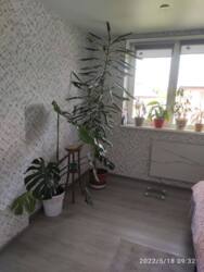 ������ ����� ������� �������� � ��������! ���� 3