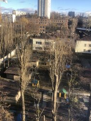 2� �������� ���. �������� �����, 42� ���� 2