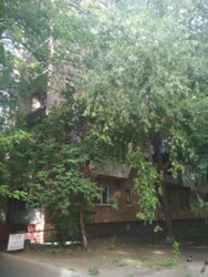 Продам однокомнатную квартиру по ул.Лескова, 6 фото 6 Продам однокомнатную квартиру по ул.Лескова, 6 фото 6