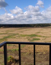 ������ 1� �������� ���� 28