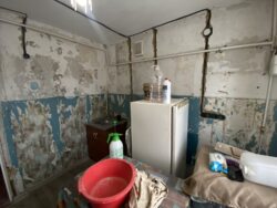 ������ ���������� �������� ���� 24