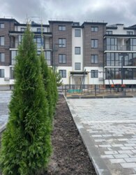 ��������� �������� ������ ������, 17, ³�����, ³�������, ����������, ����� ���� 9