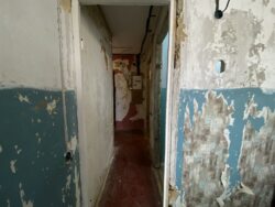 ������ ���������� �������� ���� 23