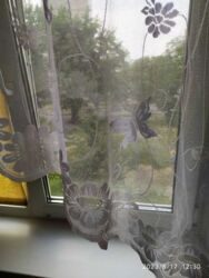 2 ���. �������� ���. �����������, 36 ���� 20