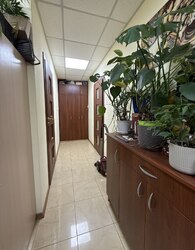 ��������� �������� �������, 27, ³�����, ³�������, �������������, ������� ���� 8