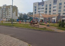 ��������� �������� �����������, 31, ³�����, ³�������, ����������, ���������� ���� 16