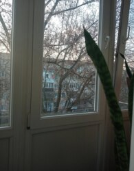 ������ 2� �������� ���� 7