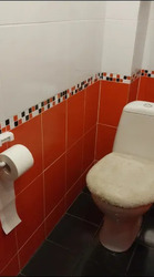 2� �������� ���. �������������, 51 ���� 6