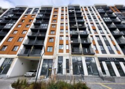 ������ 1� �������� ���� 43