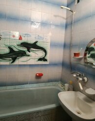 ������ 2� �������� ���� 11