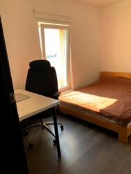  1    볿  ( ) 36-  8