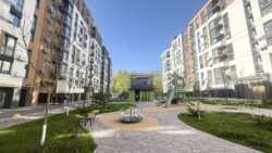 ������ 2 �� ���� 11