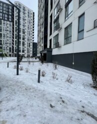 ������ �������� 1-������� �������� ���� 15