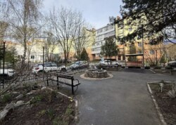 ������ ���������� �������� �� ����� ���� 12