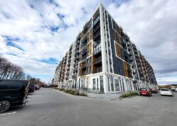 ������ 1� �������� ���� 39