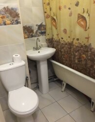  1   1
