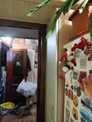 1� �������� ���. ������-�����������, 6 ���� 10