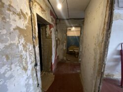 ������ ���������� �������� ���� 13