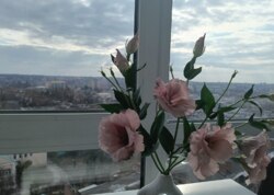 ��������� ������� �� ��������� �� ������� ���������� �������� ���� 12