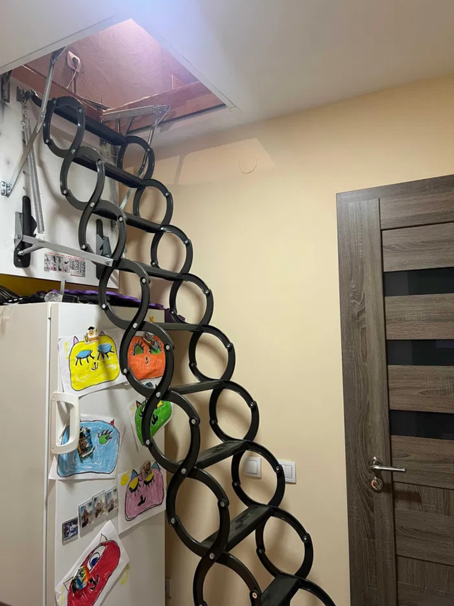 ��������� �������� ������������ �. ���., ��������, ������������, ������� ���� 17