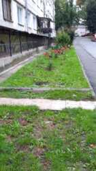 ��������� �������� ������� �. ��., ��������, ������������, ������� ���� 7