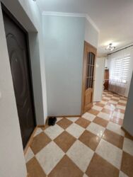 ��������� �������� ���������, ���������������, ������������ ���� 8