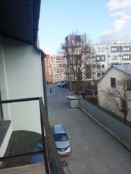 ��������� �������� �������, �������������, ������������ ���� 8