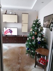 ��������� �������� ���������� �. ���., ��������, ������������, ������ ���� 5