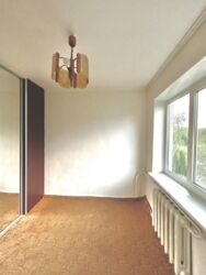 ��������� �������� ����������� ���., ��������, ������������, ������� ���� 11