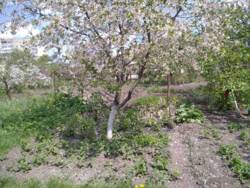 ��������� �������� �������������� �. ���., ��������, ������������, ������� ���� 7