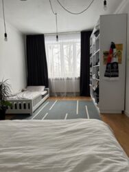 ��������� �������� ���������� ���., ��������, ������������, �������� ���� 8