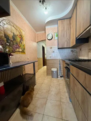 ��������� �������� ����������� ���., ��������, ������������, ������� ���� 4