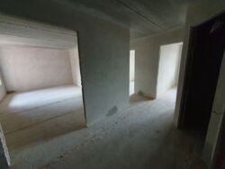 ��������� �������� ����������� ���., ��������, ������������, ������ ���� 11