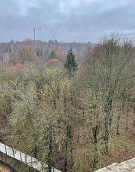 ��������� �������� �������� ���., ��������, ������������, ������ ���� 5