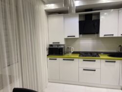 ��������� �������� ��� ����, ��������, ������������, ������ ���� 1