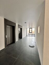 ��������� �������� ������ ���., ��������, ������������, ������ ���� ���� 12