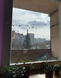 Продається квартира Тернопільська, Тернопіль, Центр, Живова вул. фото 7 Продається квартира Тернопільська, Тернопіль, Центр, Живова вул. фото 7