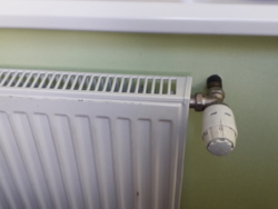 ��������� �������� ��������� �. ���., ��������, ������������, �������� ���� 16