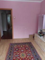 ��������� �������� ������� ���., ��������, ������������, �������� ���� 12