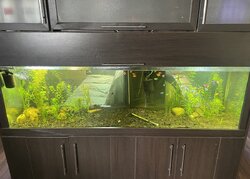 Продається квартира Тернопільська, Тернопіль, Сонячний, Спортивна фото 2 Продається квартира Тернопільська, Тернопіль, Сонячний, Спортивна фото 2